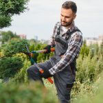 Impianti di irrigazione a Varese: soluzioni efficienti per il giardino
