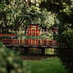 Giardini giapponesi in parchi pubblici: principi estetici e adattamenti moderni